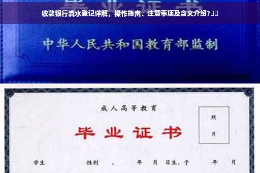 收款银行流水登记详解，操作指南、注意事项及含义介绍?⚡️