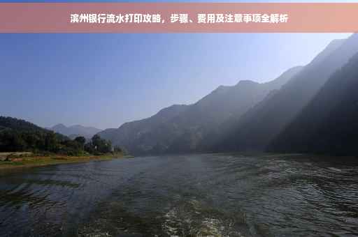 滨州银行流水打印攻略，步骤、费用及注意事项全解析