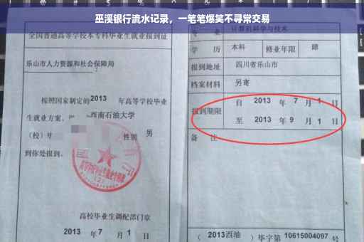 巫溪银行流水记录，一笔笔爆笑不寻常交易