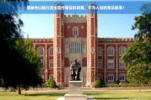揭秘光山银行流水操作背后的真相，不为人知的背后故事！