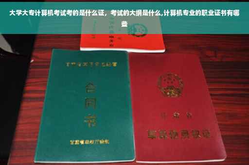 大学大专计算机考试考的是什么证，考试的大纲是什么,计算机专业的职业证书有哪些