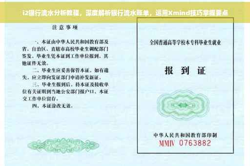 i2银行流水分析教程，深度解析银行流水账单，运用Xmind技巧掌握要点