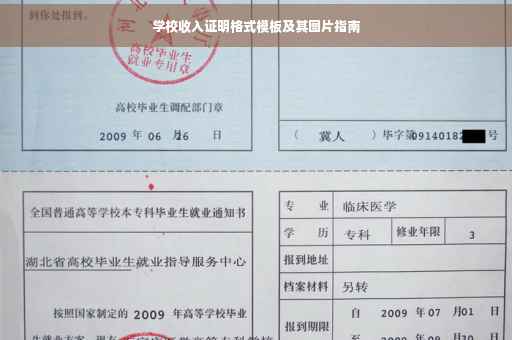 学校收入证明格式模板及其图片指南
