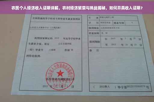 农民个人经济收入证明详解，农村经济繁荣与挑战揭秘，如何开具收入证明？