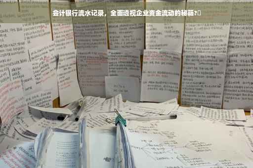 会计银行流水记录，全面透视企业资金流动的秘籍?✨