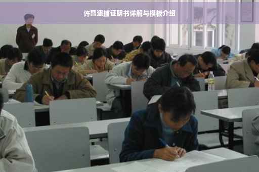 许昌逮捕证明书详解与模板介绍