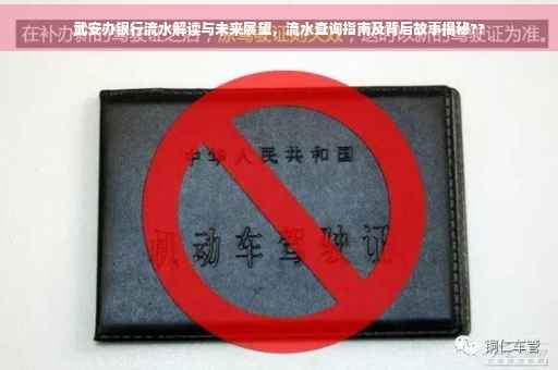 武安办银行流水解读与未来展望，流水查询指南及背后故事揭秘??