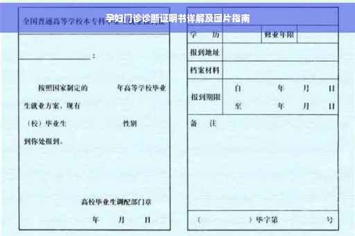 孕妇门诊诊断证明书详解及图片指南