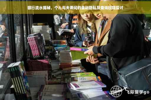 银行流水揭秘，个人与夫妻间的金融隐私及查询权限探讨