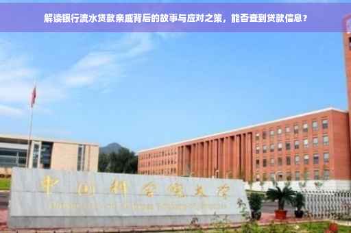 解读银行流水贷款亲戚背后的故事与应对之策，能否查到贷款信息？