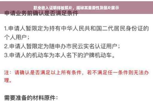 职业收入证明样板照片，揭秘其重要性及图片展示
