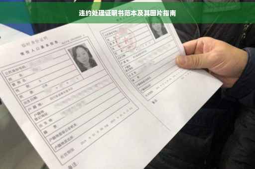 违约处理证明书范本及其图片指南