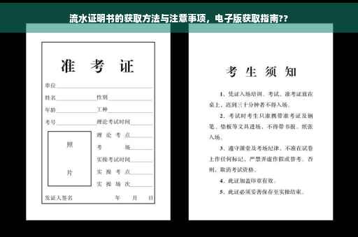 流水证明书的获取方法与注意事项，电子版获取指南??