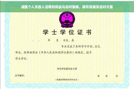 遗属个人无收入证明的挑战与应对策略，撰写指南及应对方案