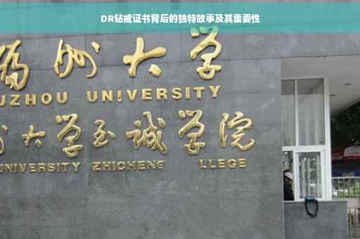 DR钻戒证书背后的独特故事及其重要性