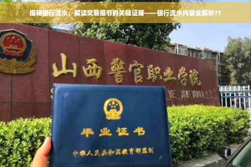 揭秘银行流水，解读交易细节的关键证据——银行流水内容全解析??