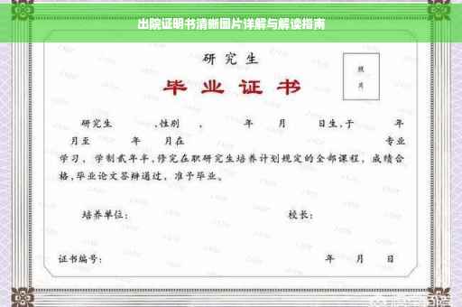 出院证明书清晰图片详解与解读指南