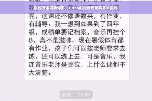 银行流水摘要详解，OBSS的重要性及其含义揭秘