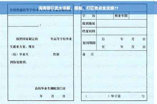 海南银行流水详解，模板、打印地点全攻略??