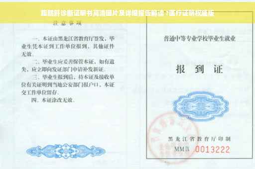 脂肪肝诊断证明书高清图片及详细报告解读 ?医疗证明权威版