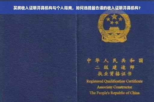 买房收入证明开具机构与个人指南，如何选择最合适的收入证明开具机构？