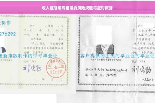 收入证明填写错误的风险规避与应对策略