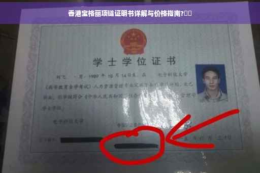 香港宝格丽项链证明书详解与价格指南?⚡️
