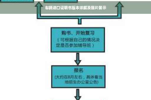 车辆进口证明书版本详解及图片展示