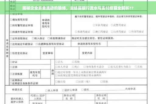 揭秘企业资金流动的脉络，主结算银行流水与支付结算全解析??