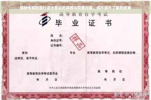 揭秘电脑刷银行流水背后的真相与犯罪问题，你不得不了解的故事