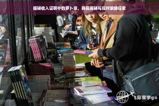 揭秘收入证明中的萝卜章，真相揭秘与应对策略探索