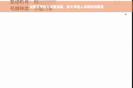 安徽大学收入证明详解，各大学收入证明材料概览