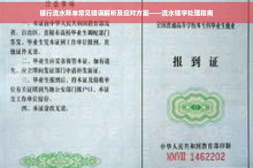 银行流水账单常见错误解析及应对方案——流水错字处理指南