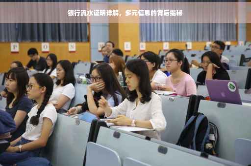 银行流水证明详解，多元信息的背后揭秘