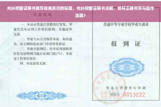 光纤挖断证明书撰写指南及范例标题，光纤挖断证明书详解，如何正确书写与操作流程？