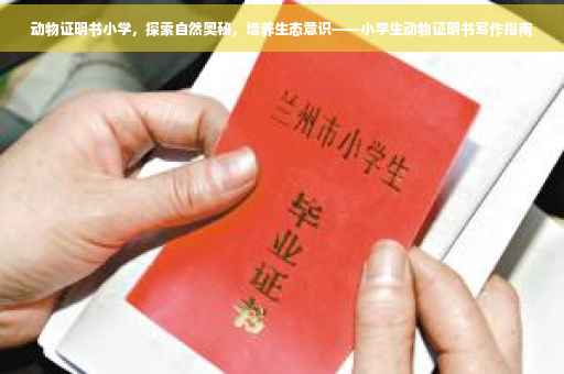 动物证明书小学，探索自然奥秘，培养生态意识——小学生动物证明书写作指南