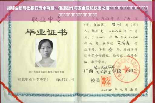 揭秘自动导出银行流水功能，便捷操作与安全隐私权衡之道​​​​​​​​​​​​​​​​​​​​​​​​​​​​​​​​