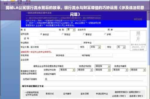 揭秘LA公寓银行流水背后的故事，银行流水与财富增值的巧妙运用（涉及违法犯罪问题）