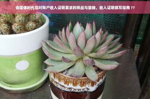 自媒体时代应对账户收入证明要求的挑战与策略，收入证明撰写指南 ??
