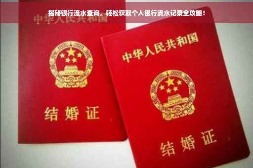 揭秘银行流水查询，轻松获取个人银行流水记录全攻略！