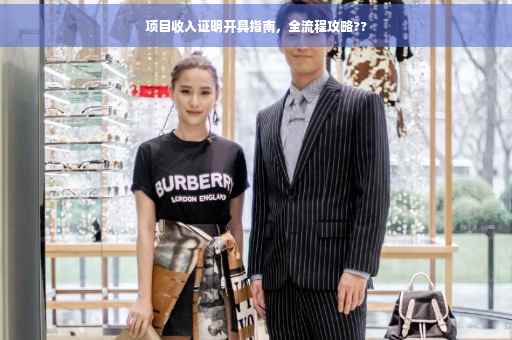 项目收入证明开具指南，全流程攻略??