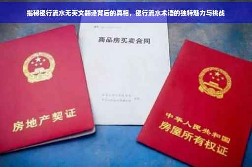 揭秘银行流水无英文翻译背后的真相，银行流水术语的独特魅力与挑战