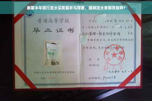 泰国半年银行流水深度解析与观察，揭秘流水金额及趋势?