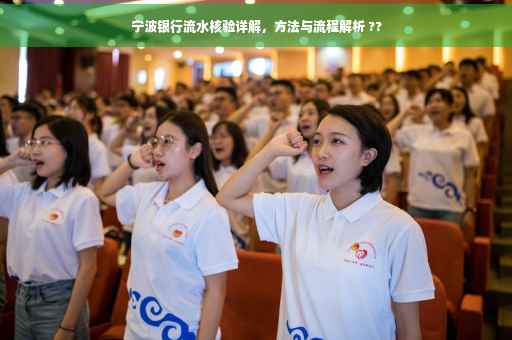 宁波银行流水核验详解，方法与流程解析 ??
