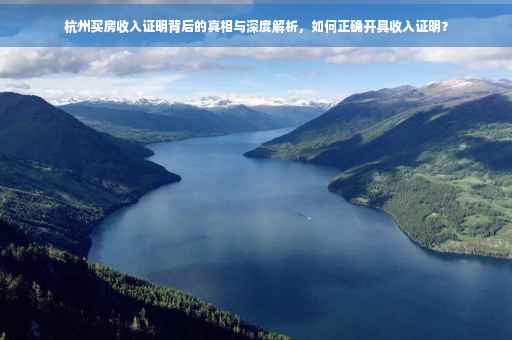 杭州买房收入证明背后的真相与深度解析，如何正确开具收入证明？