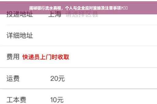 揭秘银行流水真相，个人与企业应对策略及注意事项?⚡️