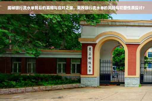揭秘银行流水单背后的真相与应对之策，更改银行流水单的风险与犯罪性质探讨?