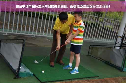 签证申请中银行流水与配偶关系解读，配偶能否查到银行流水记录？