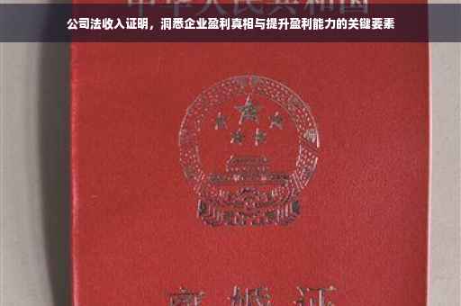 公司法收入证明，洞悉企业盈利真相与提升盈利能力的关键要素