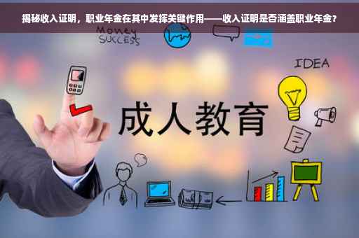 揭秘收入证明，职业年金在其中发挥关键作用——收入证明是否涵盖职业年金？